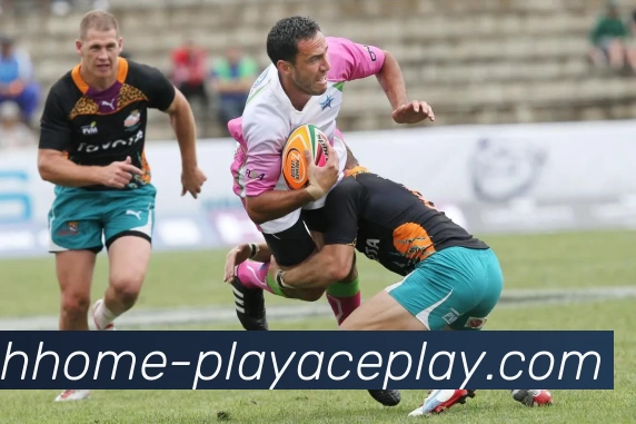 PLAYACE官网服务体系